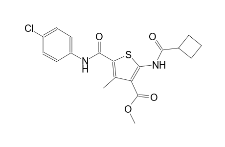 methyl 5-[(4-chloroanilino)carbonyl]-2-[(cyclobutylcarbonyl)amino]-4-methyl-3-thiophenecarboxylate