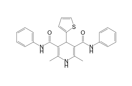 4-(2-Thienyl)-2,6-dimethyl-3,5-bis-N-(phenyl)-carbamoyl-1,4-dihydropyridine