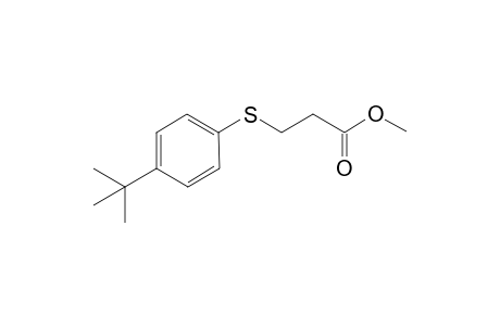 methyl 3-(p-tert-butylphenylmercapto)propionate