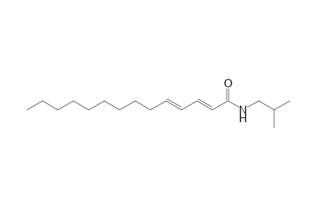 (2E,4E)-N-(2-methylpropyl)tetradeca-2,4-dienamide