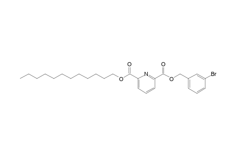 2,6-Pyridinedicarboxylic acid, 3-bromobenzyl dodecyl ester