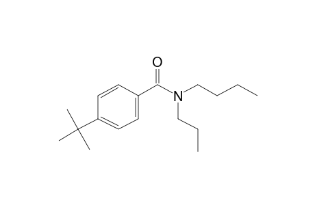 Benzamide, 4-tert-butyl-N-propyl-N-butyl-