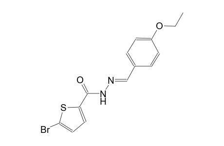 5-bromo-N'-[(E)-(4-ethoxyphenyl)methylidene]-2-thiophenecarbohydrazide