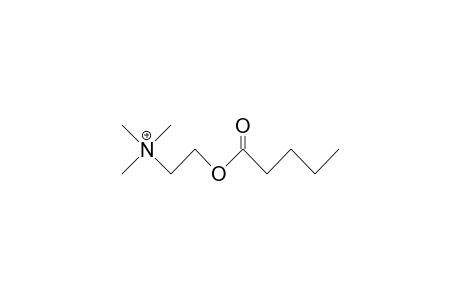 Pentanoic acid, 2-trimethylammonio-ethyl ester cation