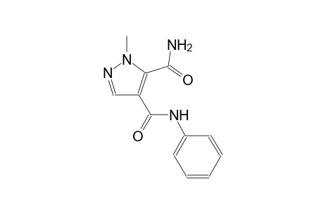 1-methyl-N~4~-phenyl-1H-pyrazole-4,5-dicarboxamide