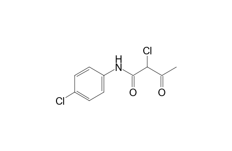 Butanamide, 2-chloro-N-(4-chlorophenyl)-3-oxo-
