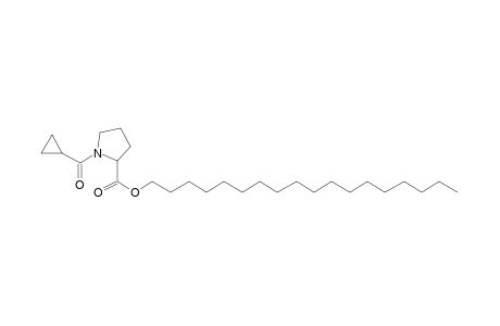 L-Proline, N-(cyclopropylcarbonyl)-, octadecyl ester