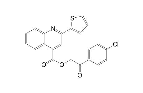 4-quinolinecarboxylic acid, 2-(2-thienyl)-, 2-(4-chlorophenyl)-2-oxoethyl ester