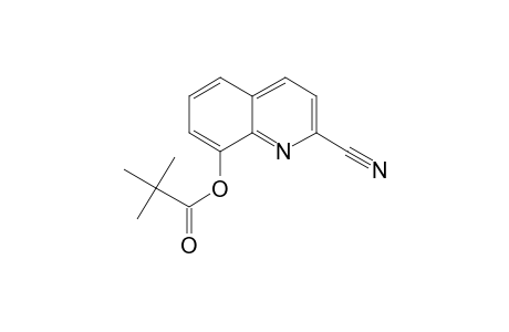 2-Carbonitrile-8-hydroxyquinoline, trimethylacetate