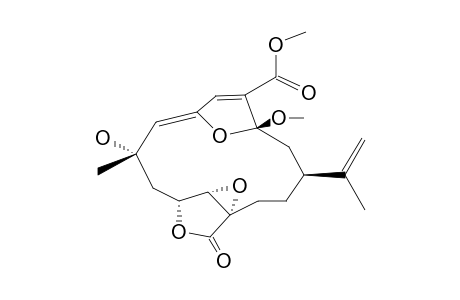 SINUMAXIMOL-C