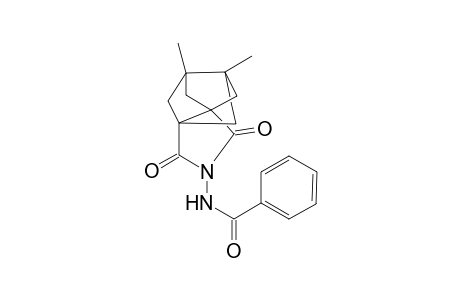 3-(Benzoylamino)-7,8-dimethyl-3-azatetracyclo[5.2.1.1(5,8).0(1,5)]undecane-2,4-dione