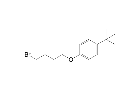 Benzene, 1-(4-bromobutoxy)-4-(1,1-dimethylethyl)-