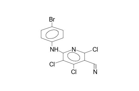 6-(PARA-BROMOPHENYLAMINO)TRICHLORO-3-CYANOPYRIDINE
