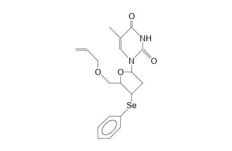 1-(5'-O-Allyl-2',3'-dideoxy-3'<R>-phenylseleno-B-D-glycero-pentofuranosyl)-thymine