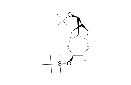 (1S*,2S*,3S*,4S*,5S*,6R*,7R*,9S*,10S*)-5-TERT.-BUTOXY-9-(TERT.-BUTYLDIMETHYLSILOXY)-10-METHYLTETRACYCLO-[5.4.0.0-(2,4).0-(3,7)]-UNDECANE