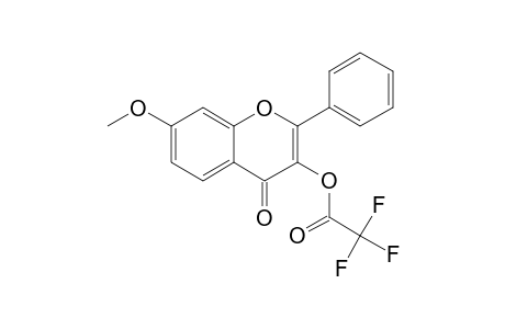 3-Hydroxy-7-methoxyflavone, trifluoroacetate