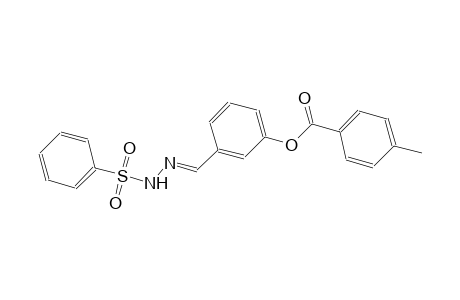 3-{(E)-[2-(phenylsulfonyl)hydrazono]methyl}phenyl 4-methylbenzoate