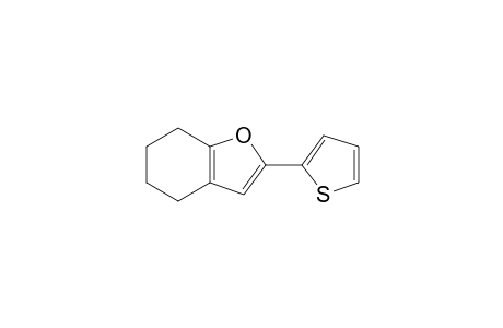 2-(4,5,6,7-Tetrahydrobenzo[b]fur-2-yl)thiophene