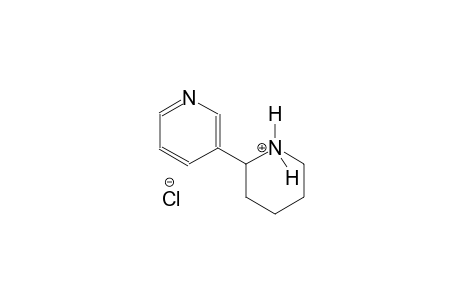 piperidinium, 2-(3-pyridinyl)-, chloride, (2S)-