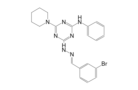 benzaldehyde, 3-bromo-, [4-(phenylamino)-6-(1-piperidinyl)-1,3,5-triazin-2-yl]hydrazone