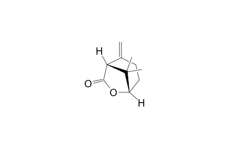 (1S,5R)-8,8-dimethyl-4-methylene-7-oxabicyclo[3.2.1]octan-6-one