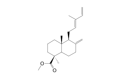 (1S,4aR,5S)-1,4a-dimethyl-6-methylene-5-[(2E)-3-methylpenta-2,4-dienyl]decalin-1-carboxylic acid methyl ester