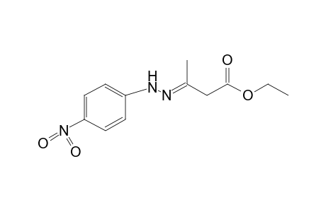 ACETOACETIC ACID, ETHYL ESTER, P-NITROPHENYLHYDRAZONE