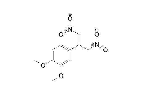 4-(1,3-Dinitropropan-2-yl)-1,2-dimethoxybenzene