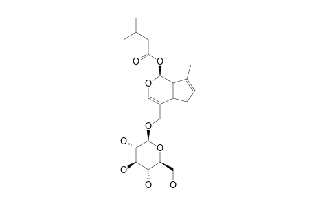 10-DEOXYPENSTEMIDE