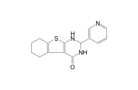 2-(3-pyridinyl)-2,3,5,6,7,8-hexahydro[1]benzothieno[2,3-d]pyrimidin-4(1H)-one