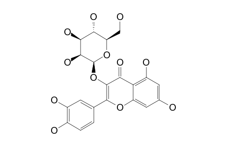 QUERCETIN-3-GALACTOPYRANOSIDE