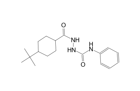 2-[(4-tert-butylcyclohexyl)carbonyl]-N-phenylhydrazinecarboxamide