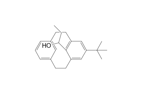 5-tert-Butyl-8-(1-hydroxypropyl)[2.2]metacyclophane