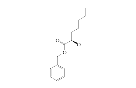 (+)-(R)-2-HYDROXY-HEPTANOIC-ACID-BENZYLESTER;H.A-BENZYLESTER
