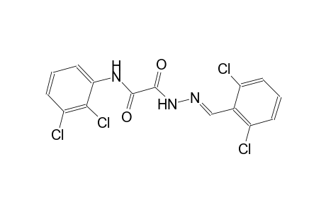 2-[(2E)-2-(2,6-dichlorobenzylidene)hydrazino]-N-(2,3-dichlorophenyl)-2-oxoacetamide