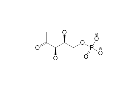 1-DEOXY-D-XYLOSE-5-PHOSPHATE