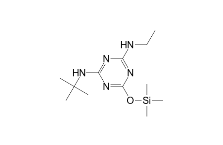 1,3,5-Triazine-2,4-diamine, N-(1,1-dimethylethyl)-N'-ethyl-6-[(trimethylsilyl)oxy]-