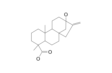 13-Hydroxy-kaur-16-en-19-oic acid