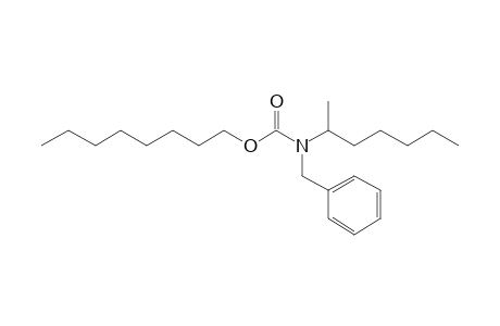 Carbonic acid, monoamide, N-benzyl-N-(hept-2-yl)-, octyl ester