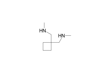 1,1-Cyclobutanedimethanamine, N,N'-dimethyl-