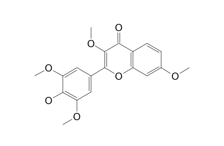 3,7,3',5'-TETRAMETHOXY-4'-HYDROXYFLAVONE