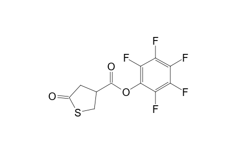 Perfluorophenyl 5-Oxotetrahydrothiophene-3-carboxylate