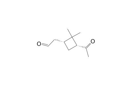 Cyclobutaneacetaldehyde, 3-acetyl-2,2-dimethyl-, (1R-cis)-