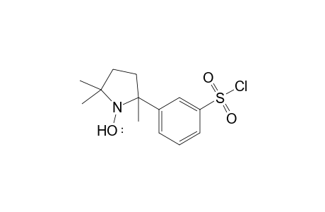 2,5,5-Trimethyl-2-(3-chlorosulfonylphenyl)pyrrolidin-1-yloxy radical