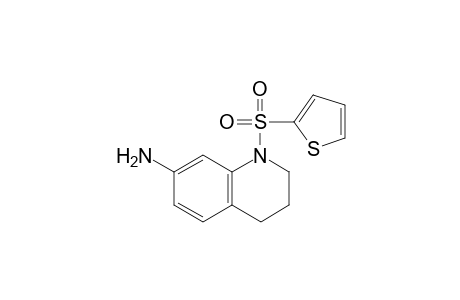 7-Amino-1-(thiophen-2-ylsulfonyl)-1,2,3,4-tetrahydroquinoline