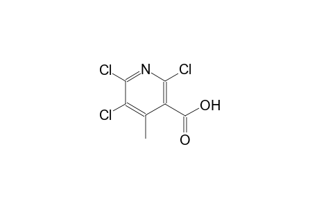 2,5,6-Trichloro-4-methylnicotinic acid