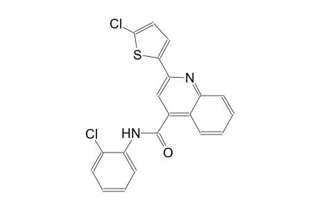 N-(2-chlorophenyl)-2-(5-chloro-2-thienyl)-4-quinolinecarboxamide