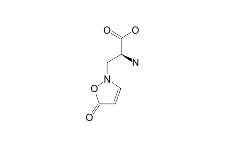 BIA;BETA-(ISOXAZOLYN-5-ON-2-YL)-L-ALANINE