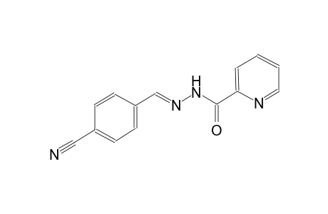 2-pyridinecarboxylic acid, 2-[(E)-(4-cyanophenyl)methylidene]hydrazide