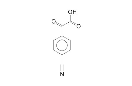 BENZENEACETIC ACID, 4-CYANO-alpha-OXO-